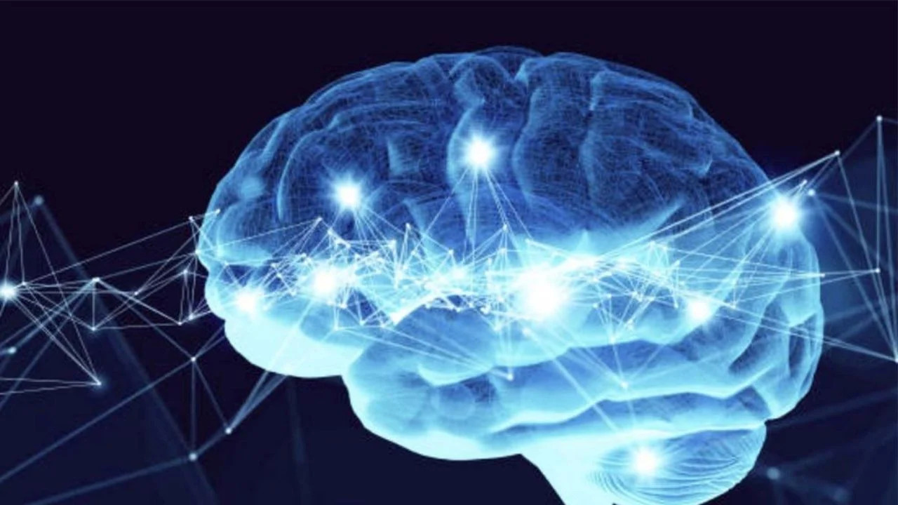 A është plakja e trurit e trashëgueshme, kujdesi që ju duhet