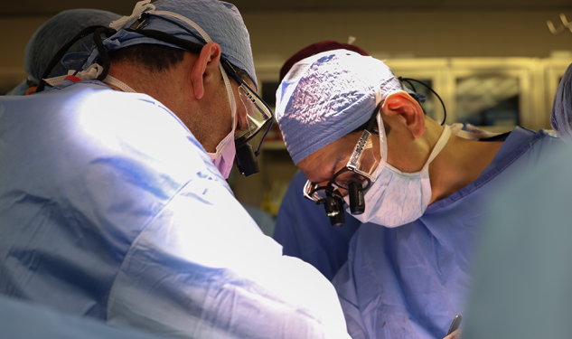 Veshka e derrit transplantohet për herë të parë te një person i gjallë