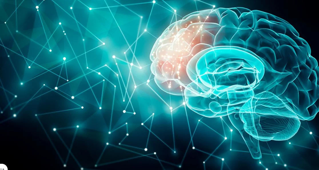 Ja se si mund të praktikoni stërvitjen e trurit