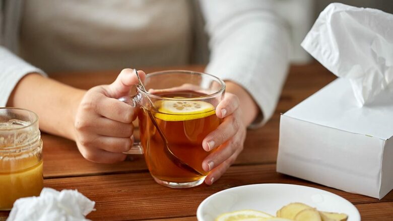 Mënyrat shtëpiake për trajtimin e infeksioneve urinare, pa barna