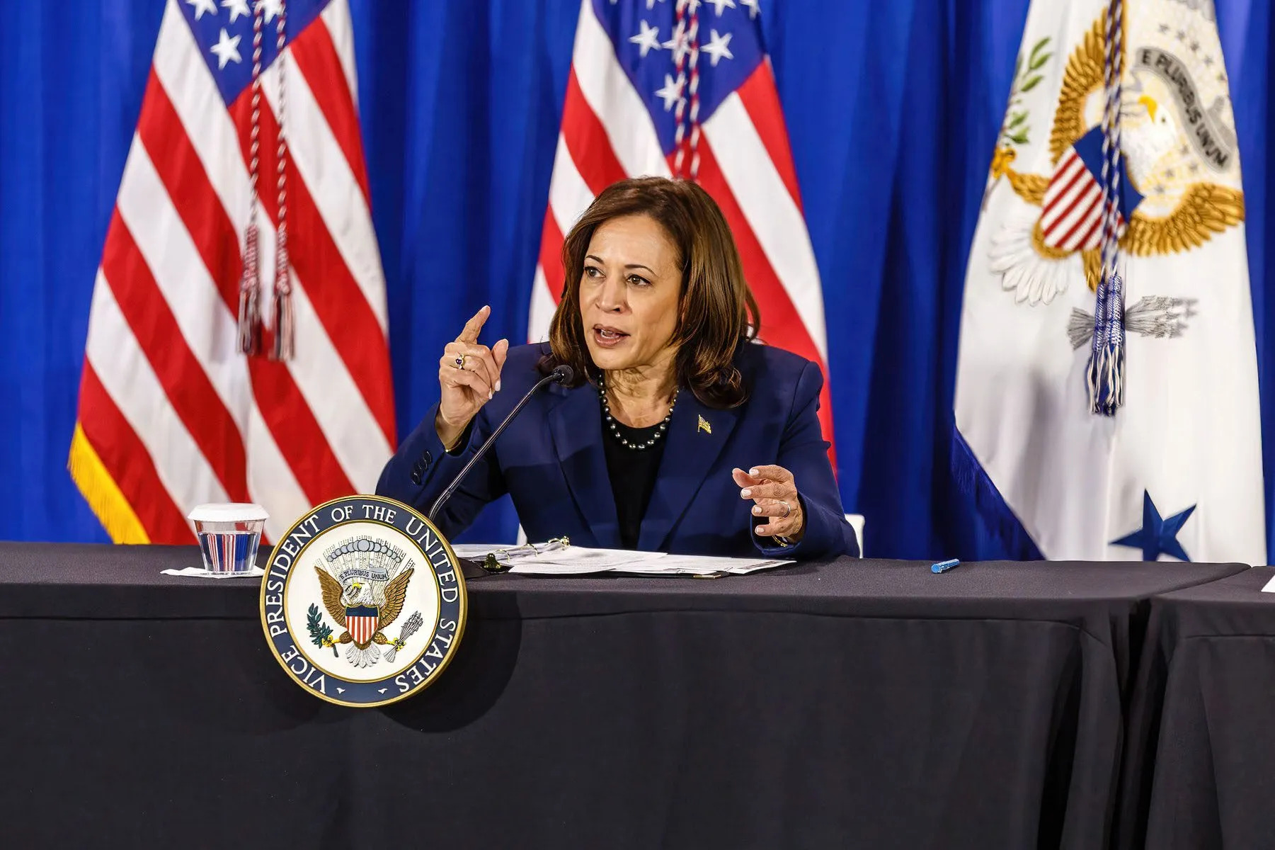 Kamala Harris zyrtarisht siguron nominimin e Partisë Demokratike me 99 për qind të votave