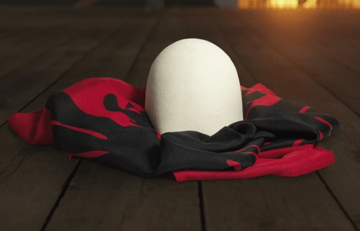 Profesori në Prishtinë hedh flamurin kombëtar shqiptar në kosh, pezullohet nga detyra