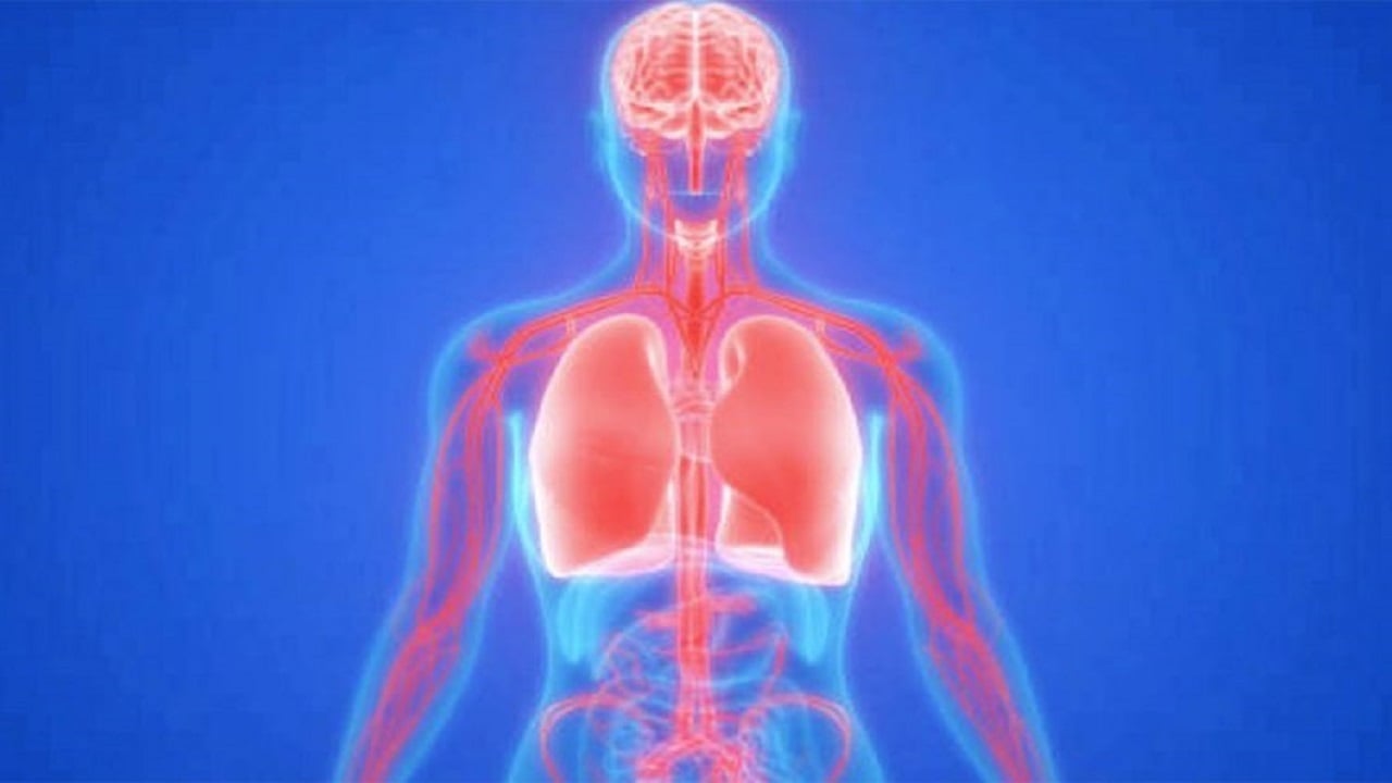 Magnezi, minerali “magjik” për trupin, si të dallojmë mungesën e tij