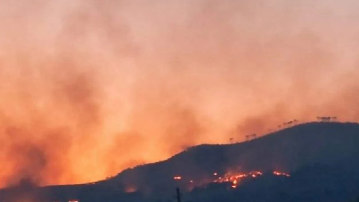 Maqedonia këtë vit ka humbur 275 mijë metër kub dru nga zjarret