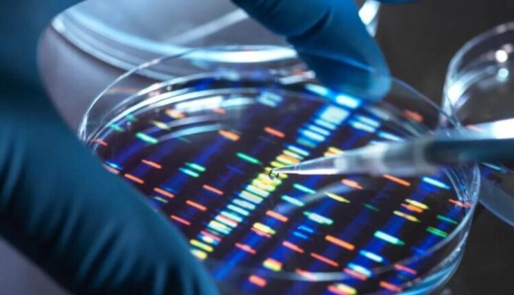 Shkencëtarët nisin epokën e re: ADN-ja njerëzore po krijohet në laborator