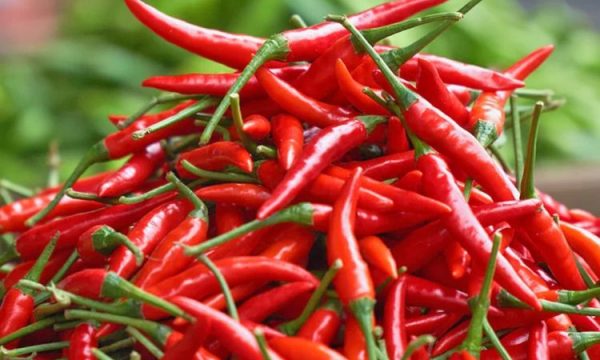 Nuk dihet nëse janë tërhequr nga tregu specat me pesticide nga Maqedonia