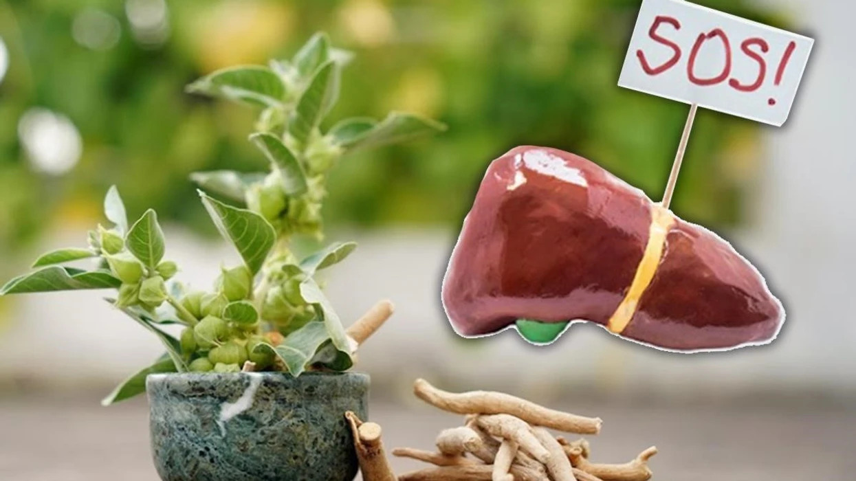 A dëmtojnë suplementet bimore mëlçinë? Shumica janë të sigurta, por vetëm nëse ndiqni 3 rregulla themelore