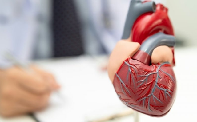 Shenjat e hershme të një ataku në zemër, ndodhin shpesh në dimër