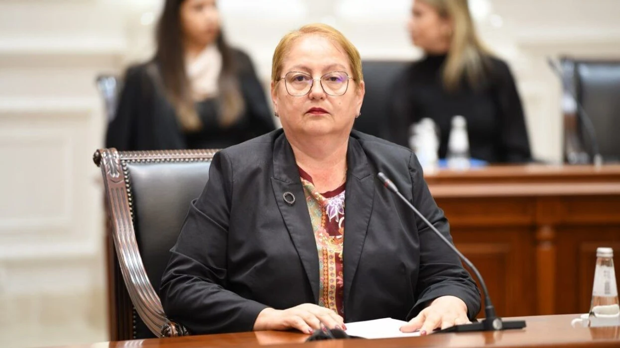 Janevska: Janë bërë ndryshime thelbësore në Ligjin për Arsimin e Lartë