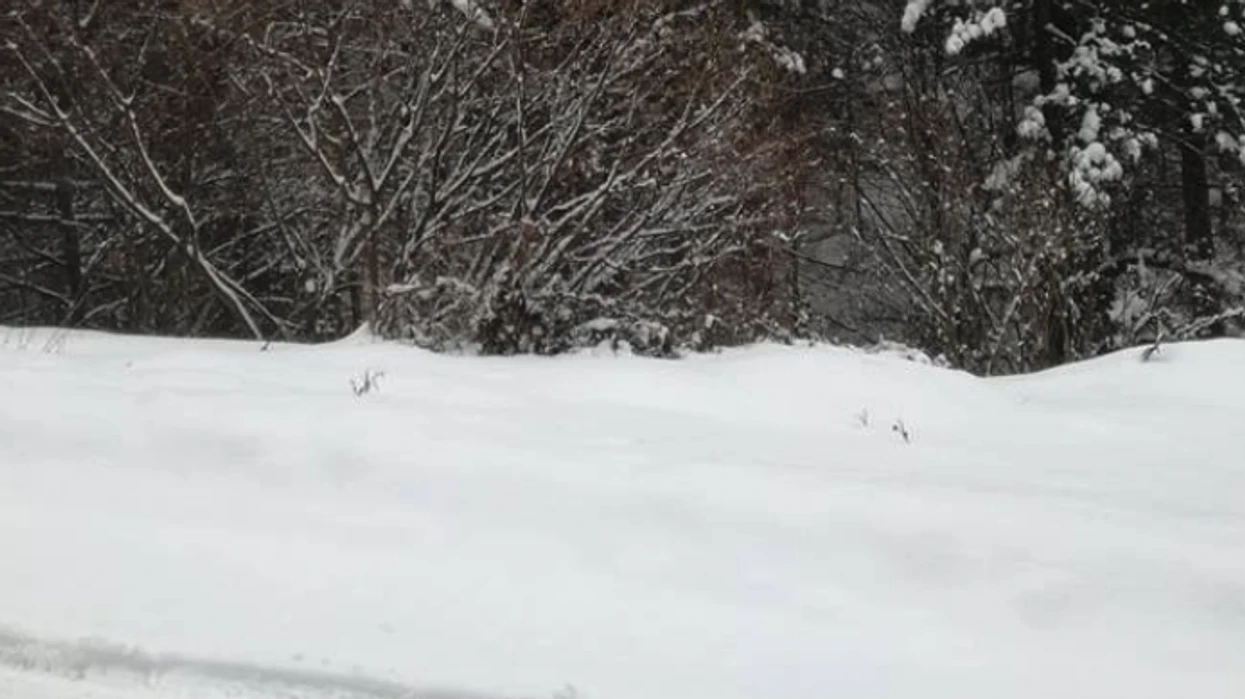 LAMM: Në Kodrën e Diellit ka reshje të borës