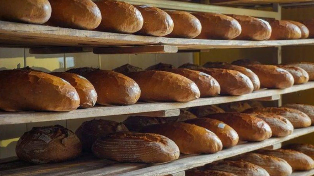 Qeveria e Maqedonisë do të shqyrtojë nëse rritja e çmimit të bukës është e justifikuar